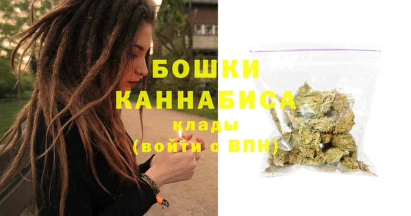 PSILOCYBIN Балахна