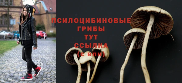 гидра Балабаново