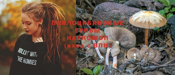 PSILOCYBIN Балахна