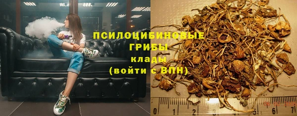 PSILOCYBIN Балахна
