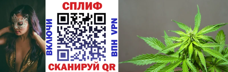 Канабис MAZAR  Купить  Гусиноозёрск 